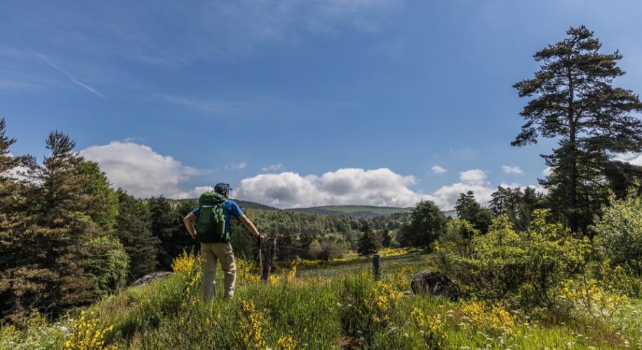 GR4 | Hiking Advisor